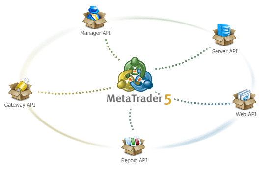 MetaTrader 5 API MetaTrader 5 API