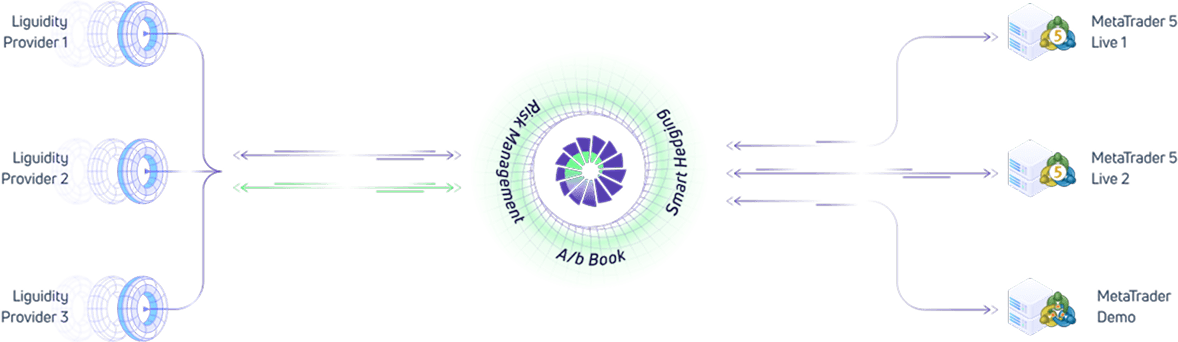 Ultency Protectionとリスク管理